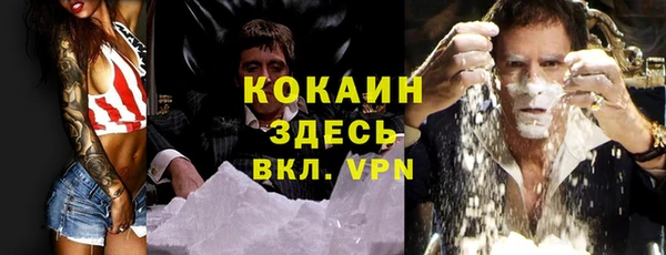 твердый Абаза