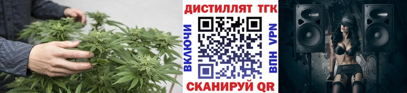 как найти закладки  Ленинградская  omg   Дистиллят ТГК концентрат 