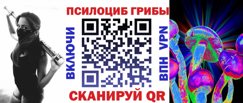 darknet как зайти  Ленинградская  Галлюциногенные грибы мухоморы 
